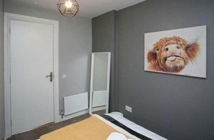 Amazing 3 Bedroom Home, Prime Bt1 Postcode And City Centre Location Belfast Dış mekan fotoğraf